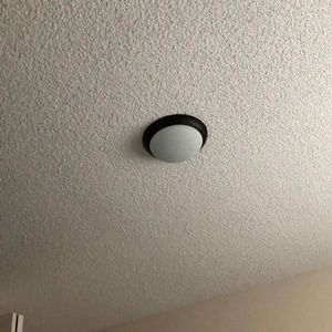 Meet your Posher, Dan